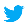 DFSK Twitter